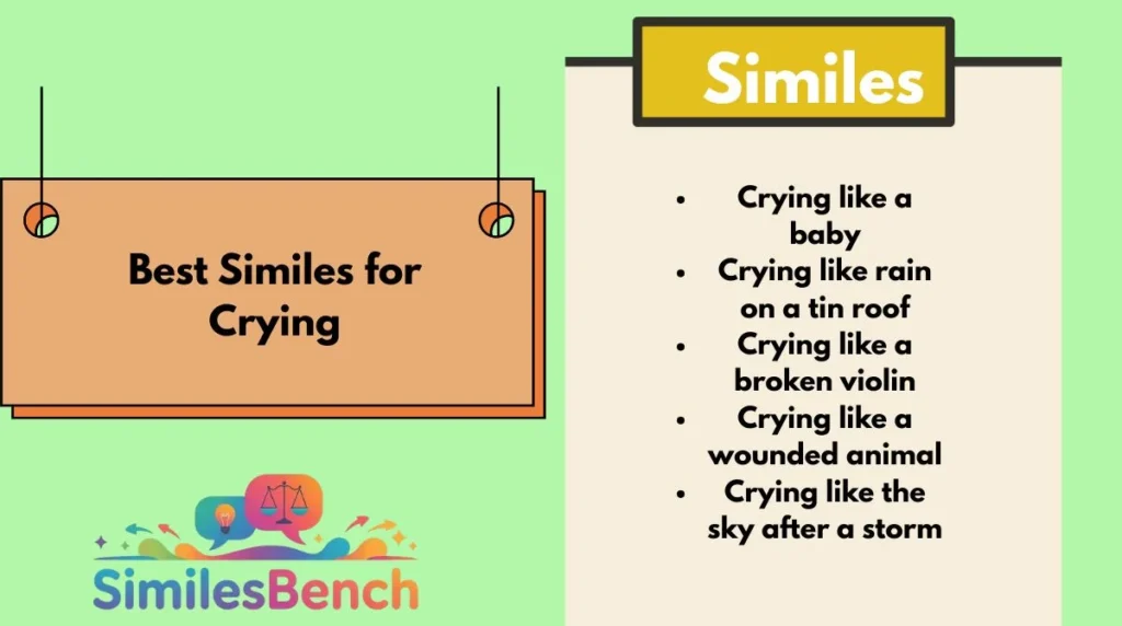 Best Similes for Crying