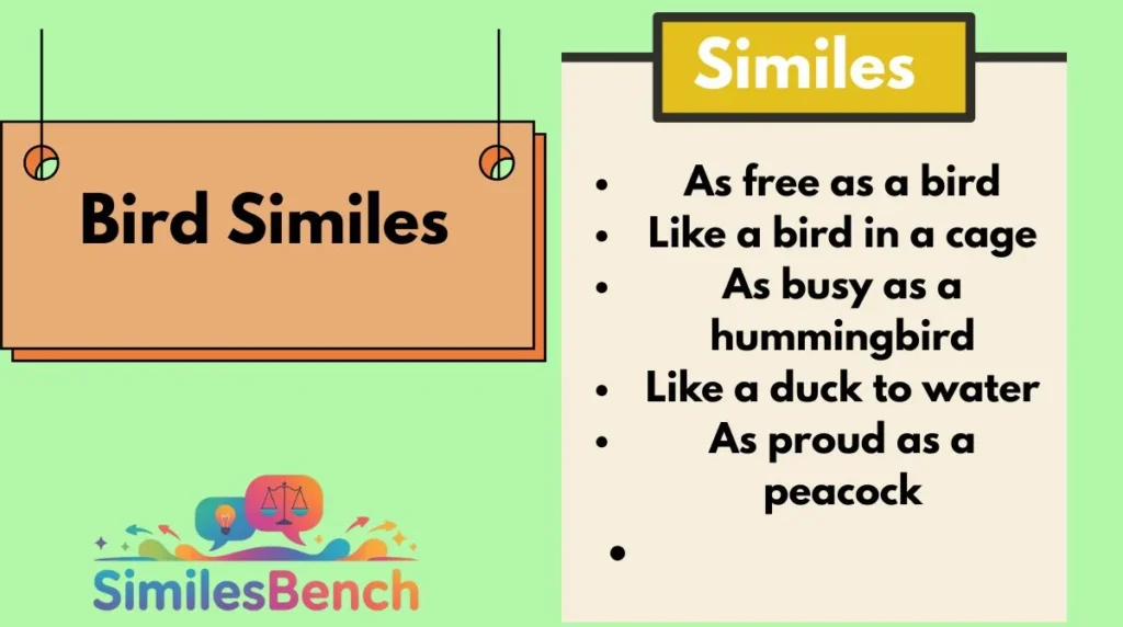 Bird Similes