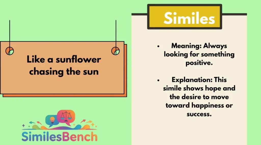 Like a sunflower chasing the sun