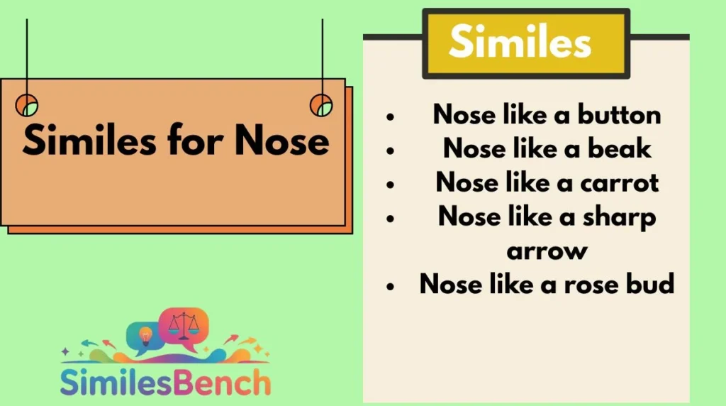 Similes for Nose