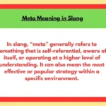 Meta Meaning in Slang