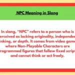 NPC Meaning in Slang