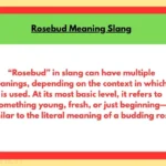 Rosebud Meaning Slang