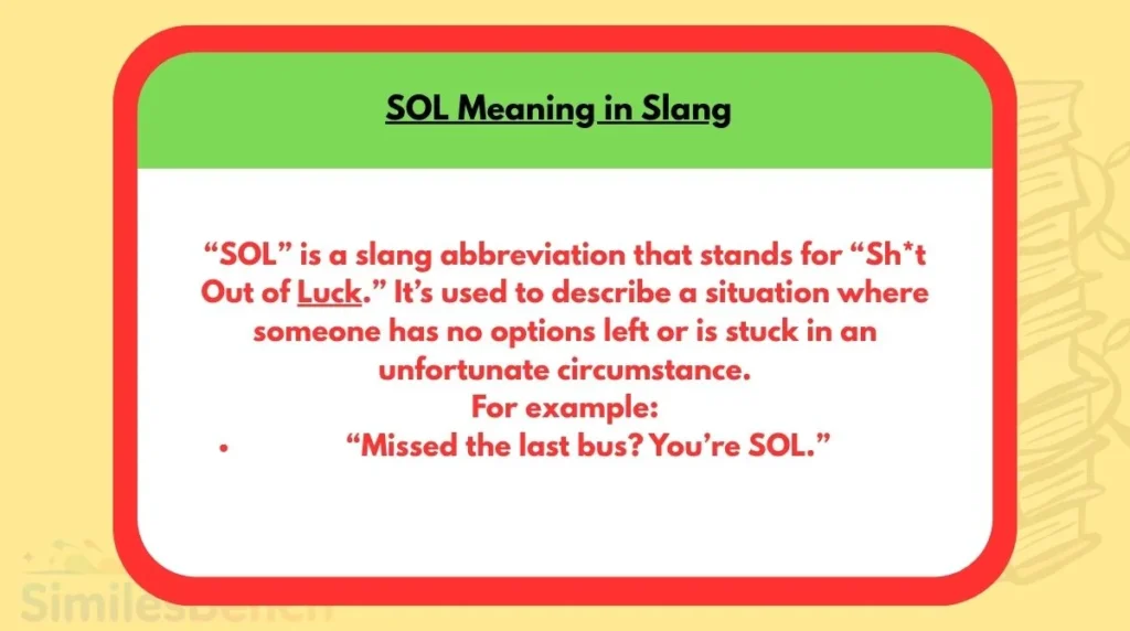 SOL Meaning in Slang