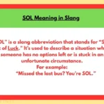 SOL Meaning in Slang