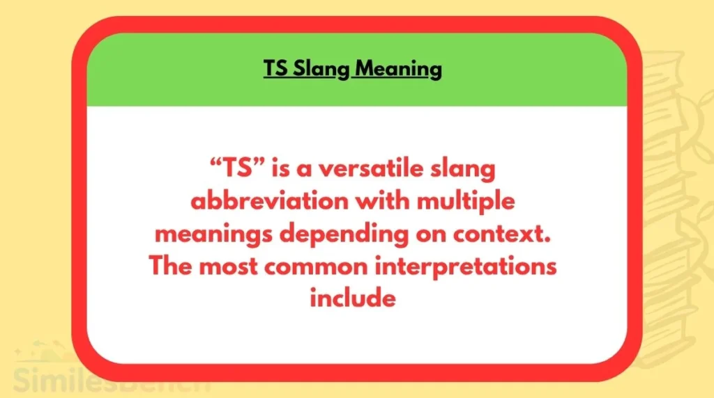 TS Slang Meaning