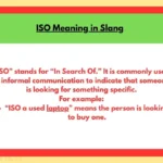 ISO Meaning in Slang
