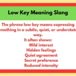 Low Key Meaning Slang