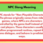 NPC Slang Meaning
