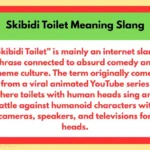 Skibidi Toilet Meaning Slang