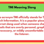 TMI Meaning Slang