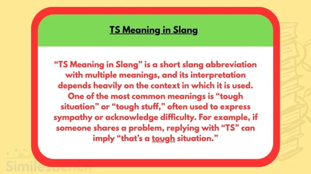 TS Meaning in Slang
