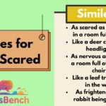 Similes for Being Scared