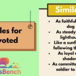 Similes for Devoted