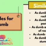 Similes for Dumb