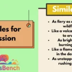 Similes for Passion