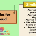 Similes for Proud