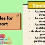 Similes for Short